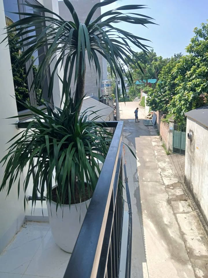 Nhà 3 tầng hiện đại tại Nông Trang, TP. Việt Trì - 57m² giá 3.5 tỷ - Sẵn sàng vào ở!