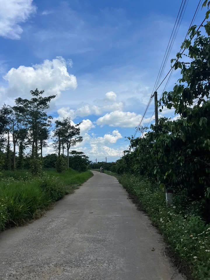 Đất nền Lộc Ngãi Bảo Lâm 2400m² giá chỉ 2.5 tỷ - Đầu tư sinh lời nhanh!