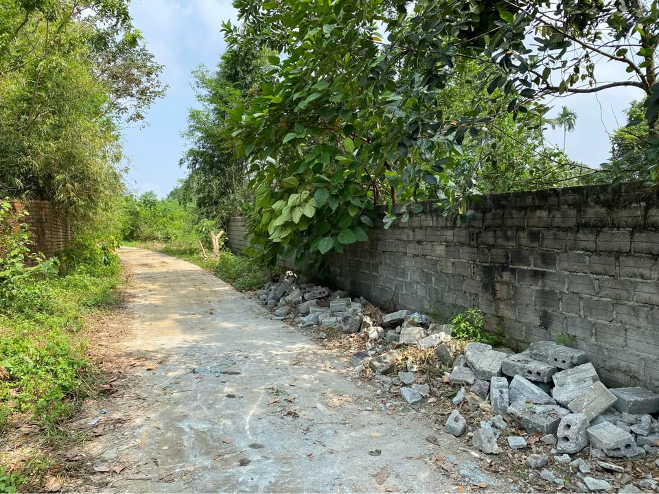 Đất nền Cư Yên Lương Sơn 1100m² giá thỏa thuận - Pháp lý rõ ràng!