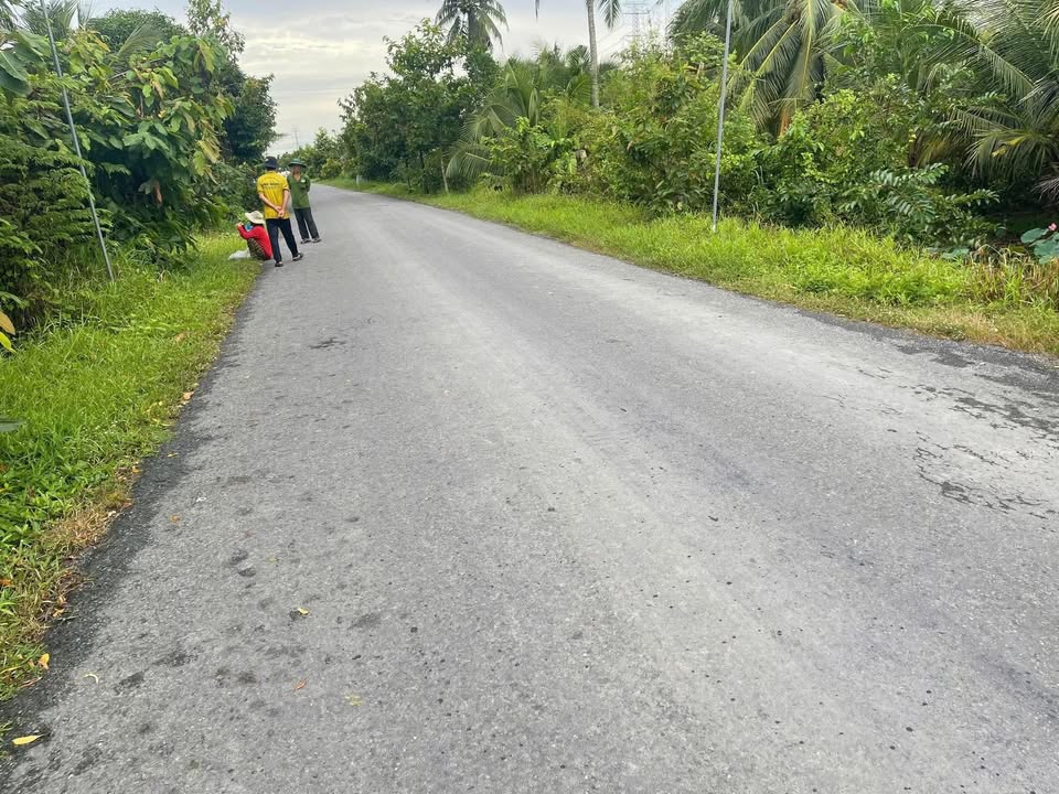 Đất nông nghiệp 8000m² mặt tiền đường tỉnh 909 - Đầu tư sinh lời ngay!