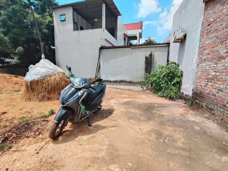 Đất nền giá rẻ Hướng Đạo Tam Dương 208m² chỉ 700 triệu - Cơ hội đầu tư tuyệt vời!