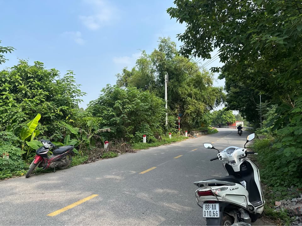 Đất kinh doanh tại Đồng Cương, Yên Lạc 100m² - Tiềm năng đầu tư vượt trội!