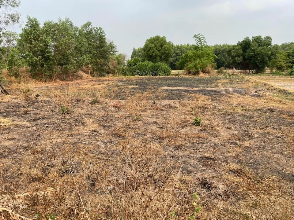 Đất nền Khánh Bình, Tân Uyên, Bình Dương 2500m² giá 15 tỷ - Phù hợp đầu tư kho xưởng