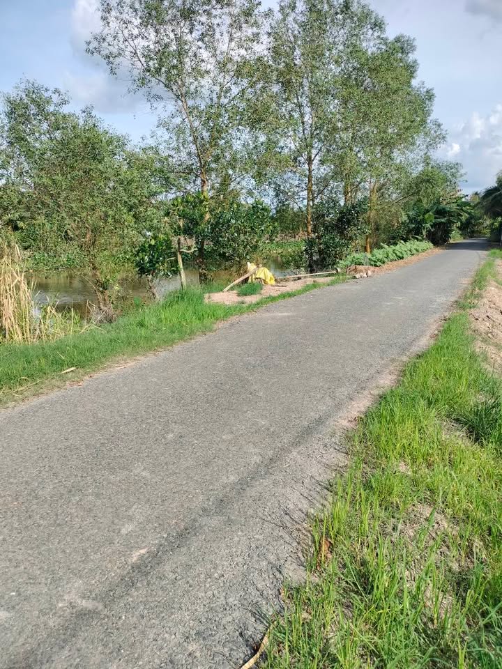 Đất nông nghiệp Tháp Mười 17c6 (17600m²) giá 5.88 tỷ - Cơ hội đầu tư sinh lời!