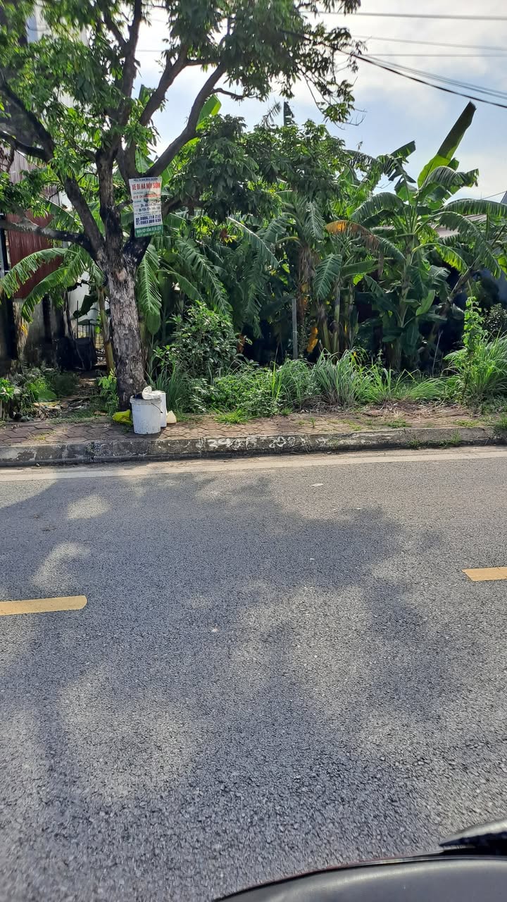 Đất nền 200m² mặt đường Bình Minh - Cơ hội đầu tư hấp dẫn tại Đồ Sơn