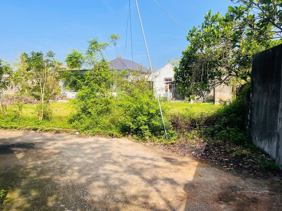 Đất nền Nghi Lộc 147m² giá 1 tỷ - Mặt tiền rộng thuận lợi cho gia đình trẻ!