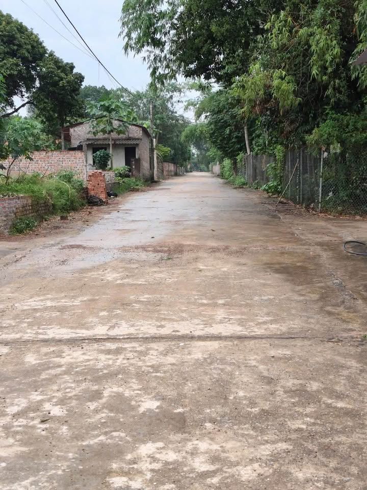 Đất thổ cư 295m² tại Phú Mỹ A, Ba Vì chỉ 1.7 tỷ - Đường rộng ô tô vào tận nơi!