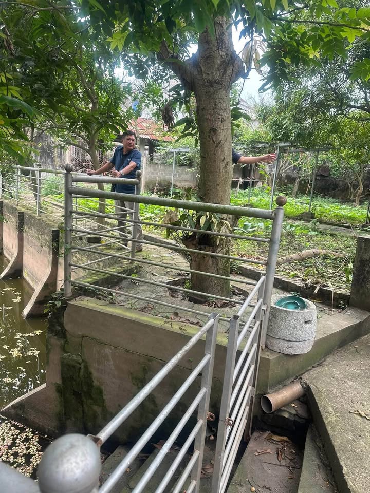 Đất nền Đông Ninh Khoái Châu 1844.5m² - Sẵn sàng đầu tư với hồ cá và cây cổ thụ