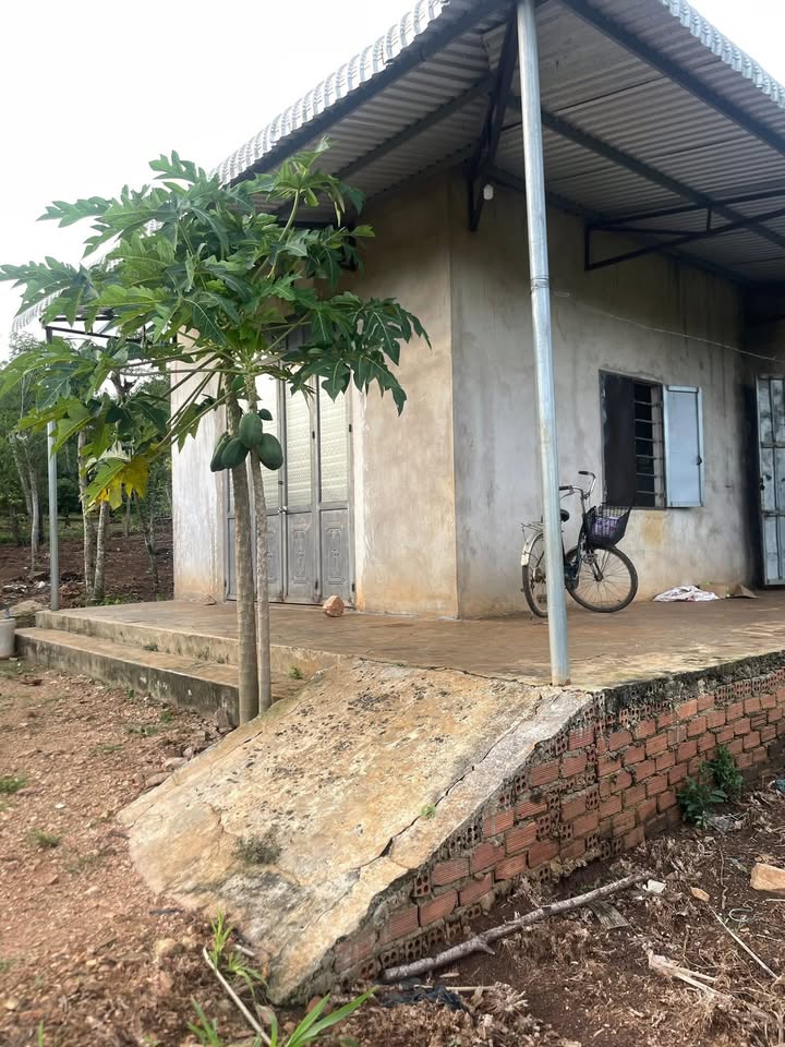 Nhà vườn tại Cư Huê, Ea Kar 1080m² giá 1 tỷ - Cơ hội đầu tư hấp dẫn!