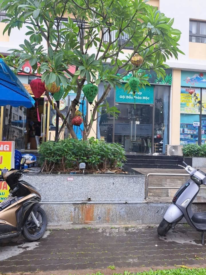 Shophouse Cityland Park Hills Gò Vấp 125m² giá 4.4 tỷ - Đầu tư sinh lời ngay!