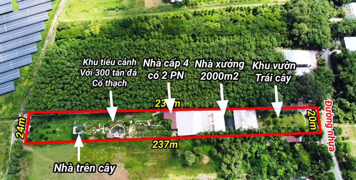 Farm đất vườn 300m² thổ cư, giá 16.8 tỷ - Cơ hội đầu tư hấp dẫn tại Củ Chi!