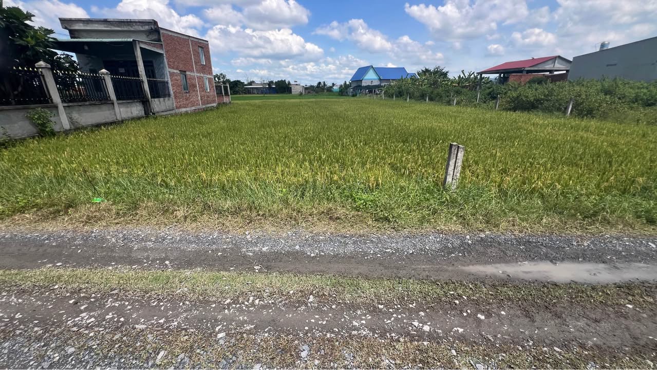 Đất nền 150m² tại ấp Bàu Sen, Đức Lập Hạ - Giá chỉ 950 triệu, sổ đỏ chính chủ!