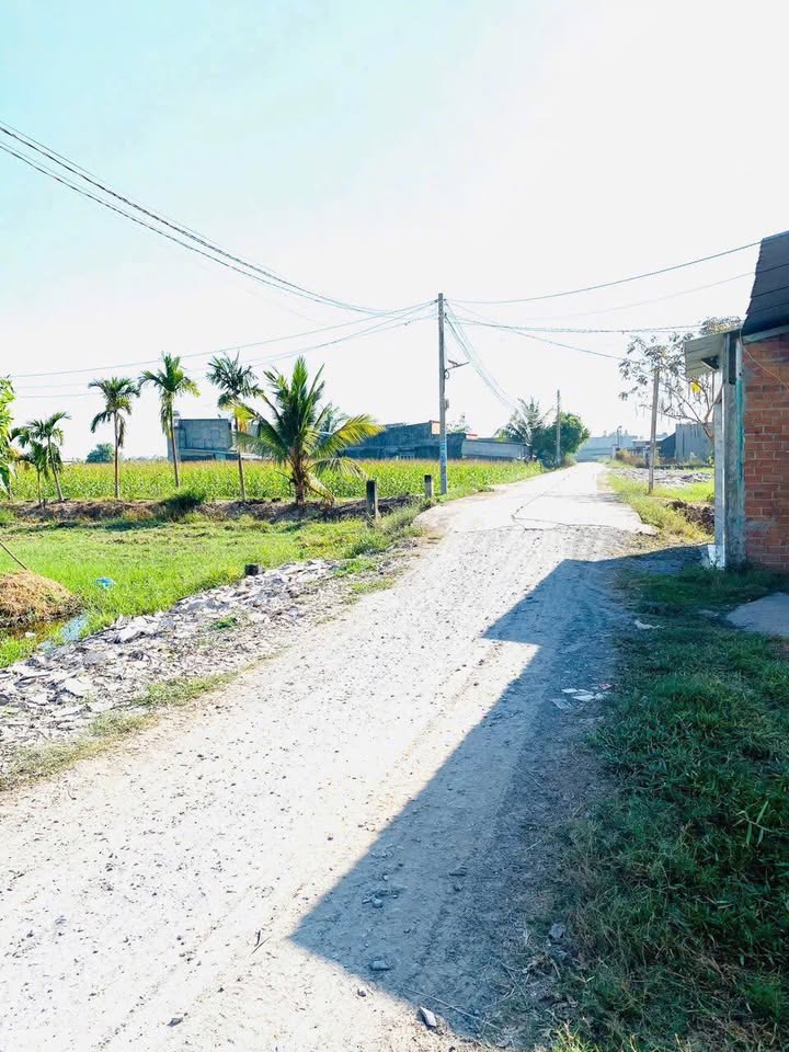 Đất nền Mỹ Hạnh Bắc, Đức Hòa, Long An 287m² giá 1.5 tỷ - Vị trí đắc địa, tiện ích đầy đủ!