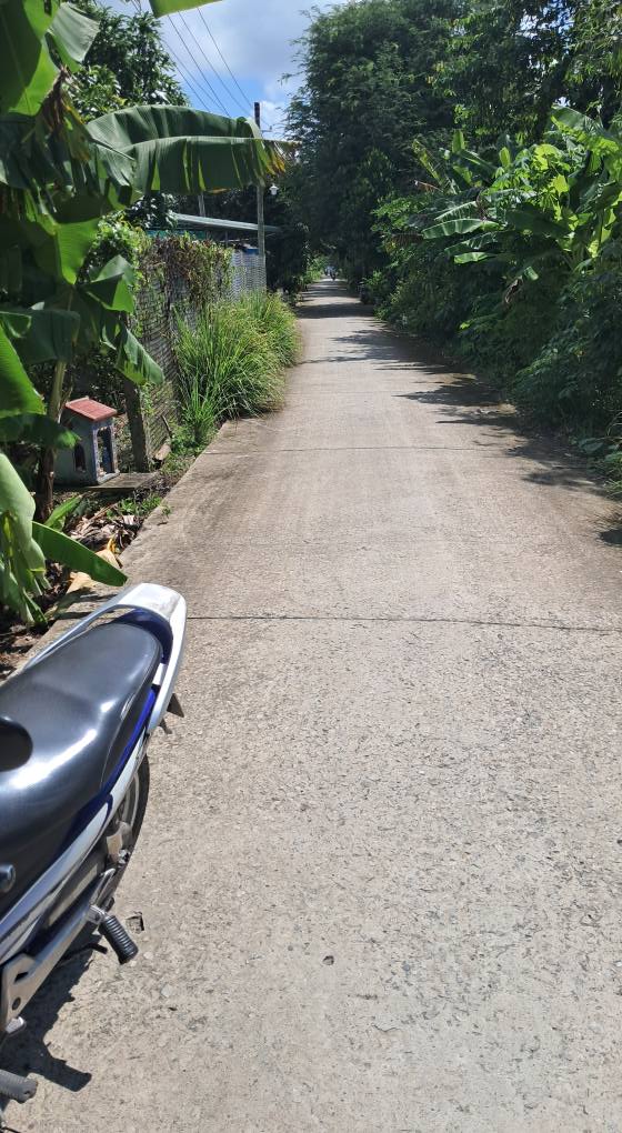 Đất nền Mỹ Phú Đông Thoại Sơn 39.000m² chỉ 1.9 tỷ - Tiềm năng đầu tư lớn!