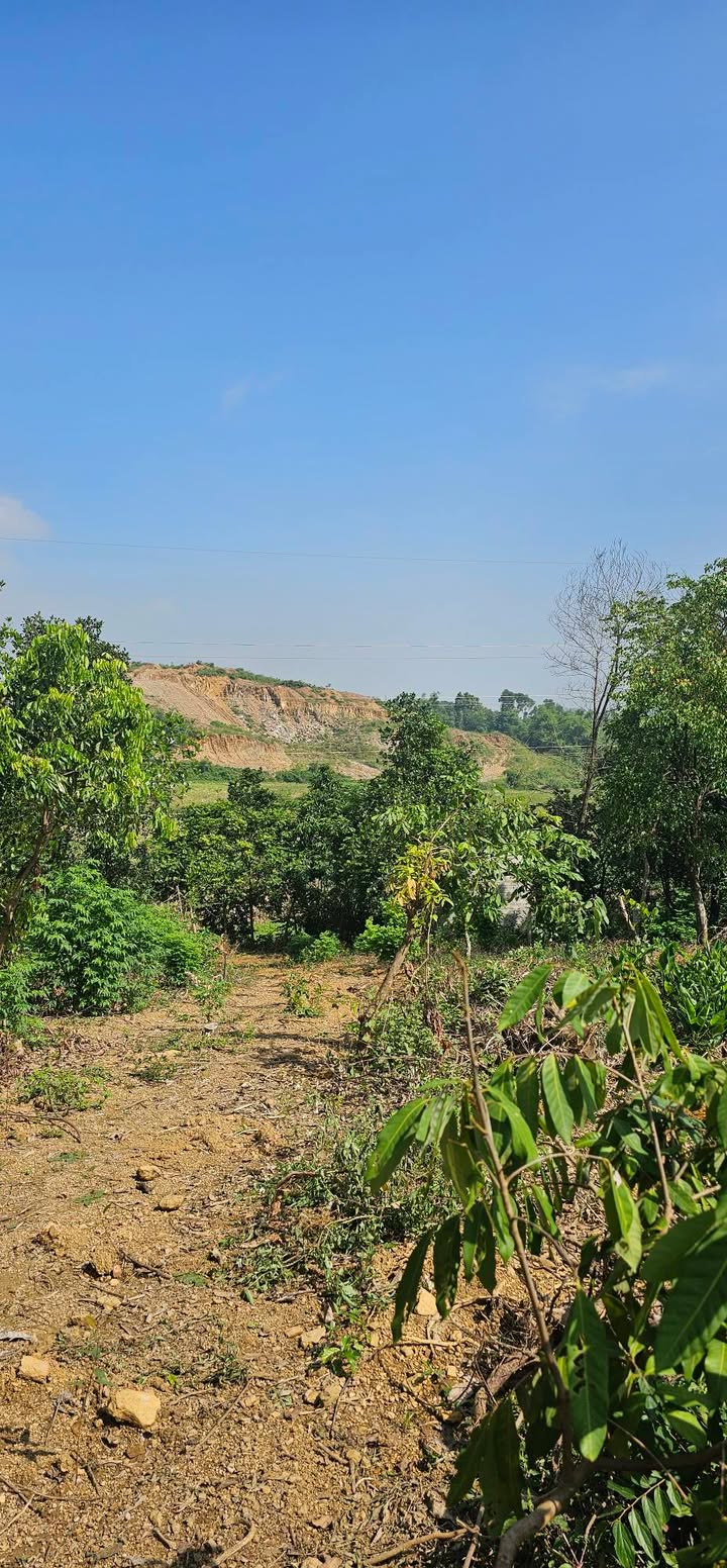 Đất nền 1916m² xã Trung Sơn, Lương Sơn - Giá chỉ 1 tỷ, cơ hội đầu tư tốt!