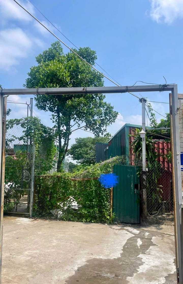 Nhà cho thuê Tứ Liên Tây Hồ 125m² giá 7.5 triệu - Sân vườn rộng, ô tô tải đỗ cửa!