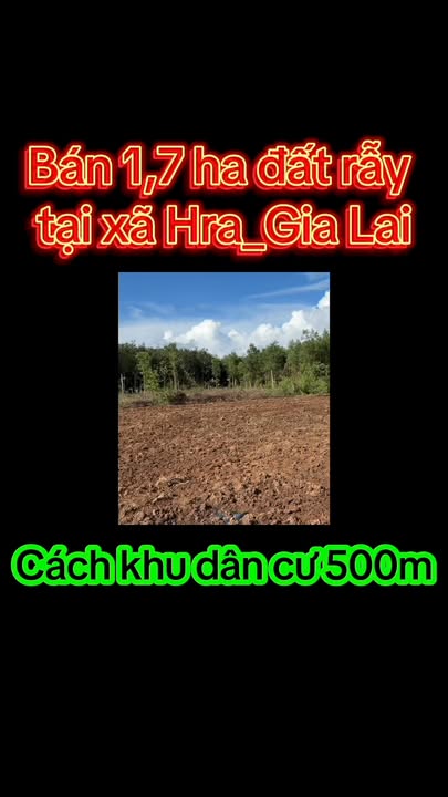 Đất rẫy 1,7ha tại xã Hra, Gia Lai - Đường 2 mặt tiền, giá thỏa thuận!