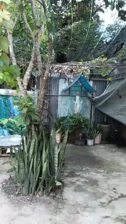 Nhà cho thuê tại xã Thiện Tân, huyện Vĩnh Cửu, 200m² giá 3 triệu - Không thể bỏ lỡ!