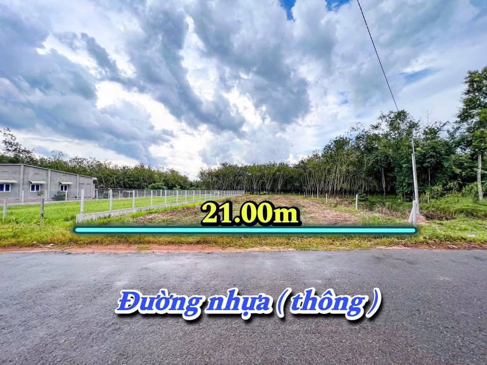 Đất nền Long Thuận, Bến Cầu 1470m² giá 1.5 tỷ - Đầu tư sinh lời ngay!