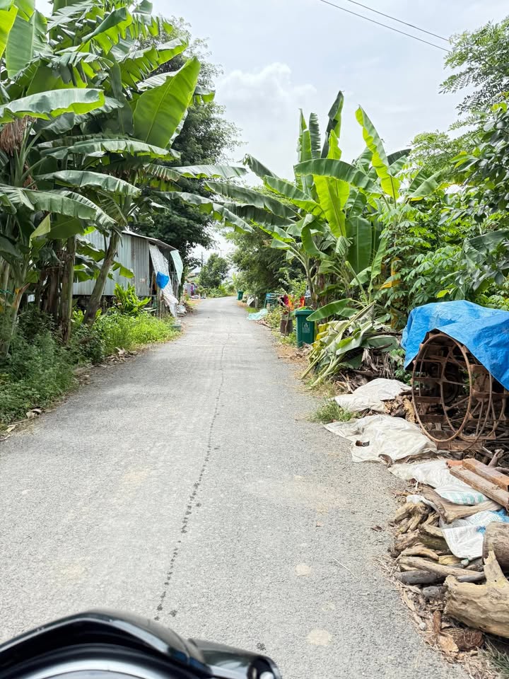 Đất nền và nhà xã Cần Đăng 153m² giá 800 triệu - Cơ hội đầu tư tuyệt vời!