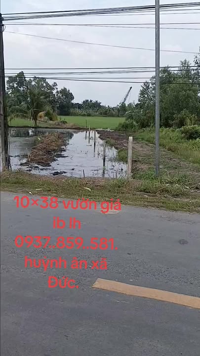 Đất vườn 380m² mặt tiền đường 816, xã Bình Hòa Nam - Tiềm năng kinh doanh hấp dẫn!