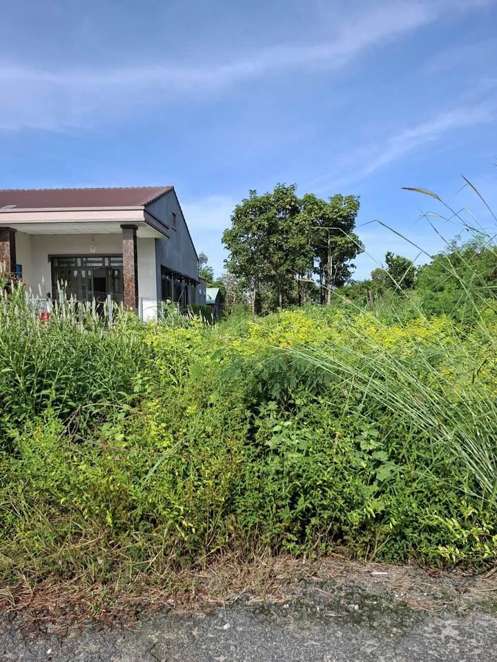 Đất nền Thạnh Nghĩa Tân Châu 200m² giá 990 triệu - Cơ hội đầu tư hấp dẫn!