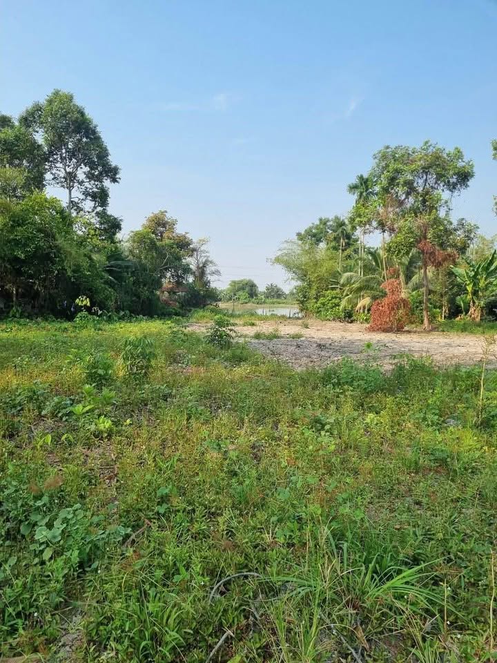 Đất Phú An, Bến Cát 4740m² giá 7 tỷ - Khu vực sầm uất, giao thông thuận lợi!