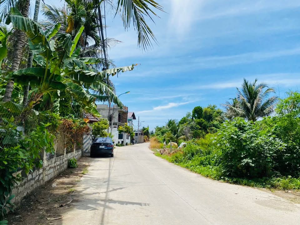 Bán gấp FrontHouse mặt tiền đường Liên Hoa, Vĩnh Ngọc, 90.4m² - Kinh doanh đắc địa!