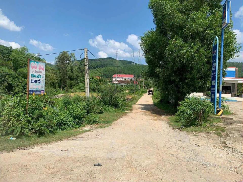 Đất rừng 1.3ha Quảng Liên giá chỉ 200 triệu - Cơ hội đầu tư tuyệt vời!