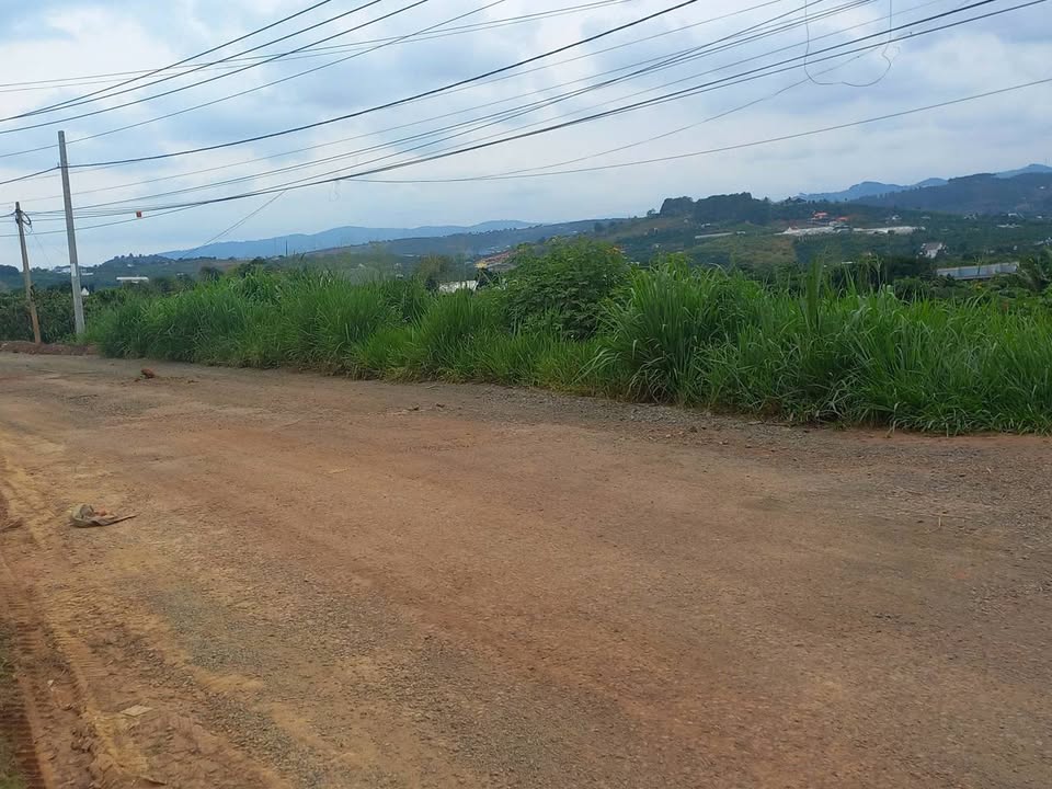 Nhà cấp 4 Đà Lạt 350m² giá 2 tỷ - Chính chủ bán gấp, vị trí đẹp!