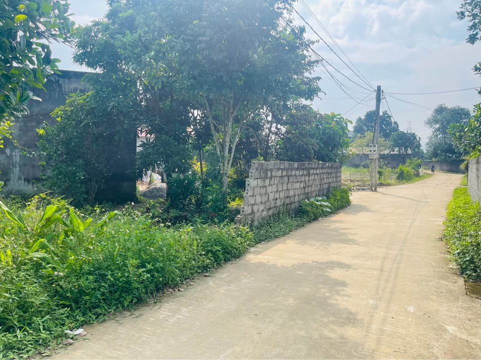 Đất nền Nhuận Trạch, Lương Sơn 163m² giá chỉ 1 tỷ - Cơ hội đầu tư tuyệt vời!