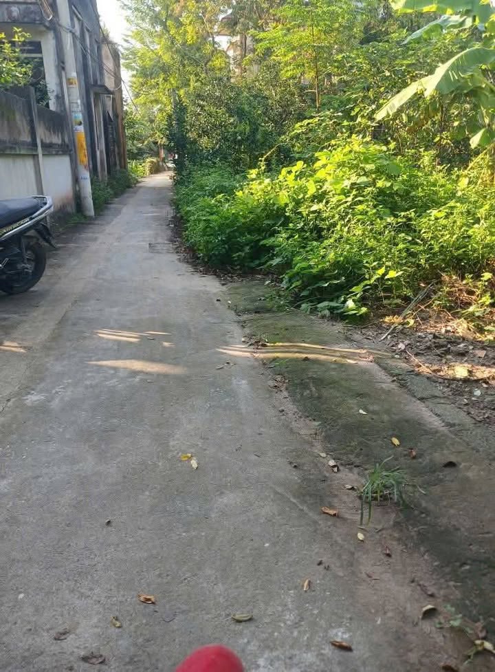 Đất nền Ngọc Hồi, Thanh Trì 82m² giá 7 tỷ - Ngõ thông ô tô, đầu tư sinh lời!