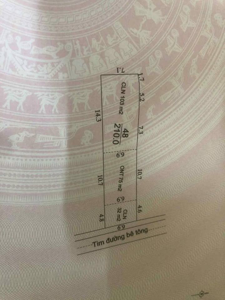 Đất nền Tân Quang Lục Ngạn 210m² giá 420 triệu - Đầu tư sinh lời ngay!