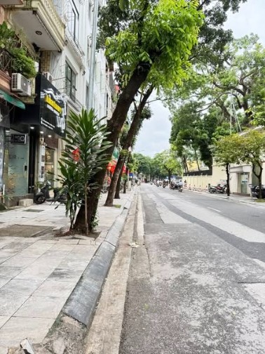 Nhà riêng Lê Hồng Phong, Ba Đình 78m² giá 32 tỷ - Chính chủ, ô tô đỗ cửa!