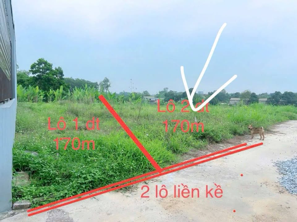 Lô đất đẹp Bách Quang Sông Công 163m² giá chỉ 5xx triệu - Sở hữu ngay!