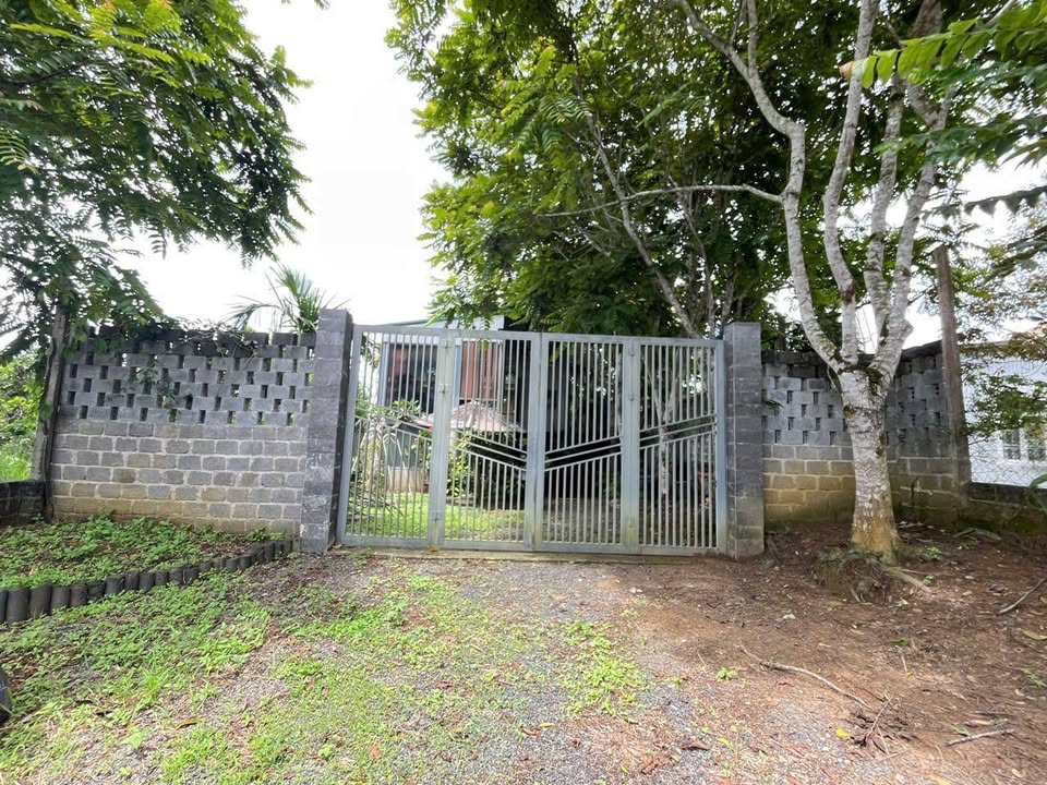 Homestay Lộc Nga Bảo Lộc 720m² giá 3.25 tỷ - Không thể bỏ lỡ!