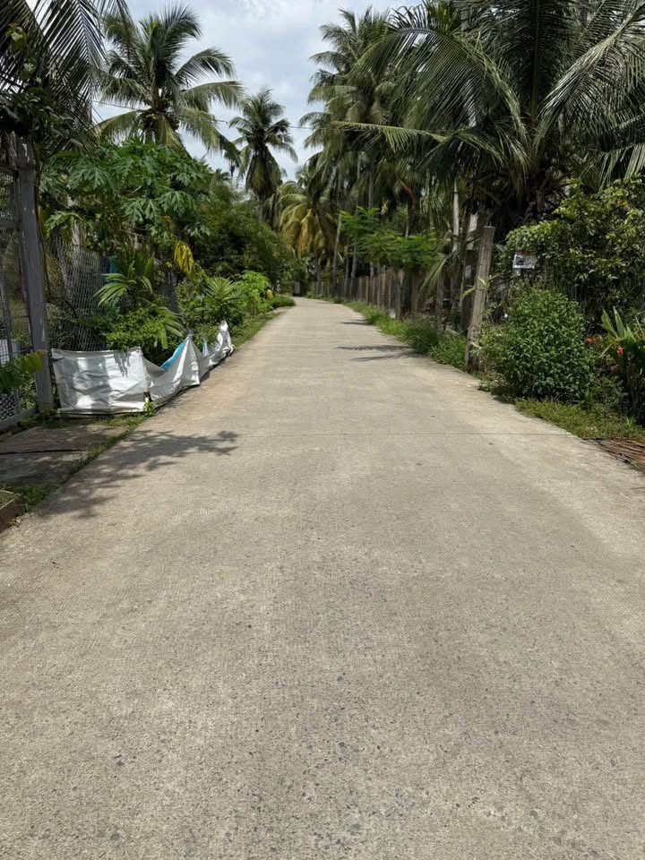 Đất mặt tiền ấp Tân Long 3, Mỏ Cày Bắc 500m² giá 550 triệu - Đầu tư sinh lời ngay!