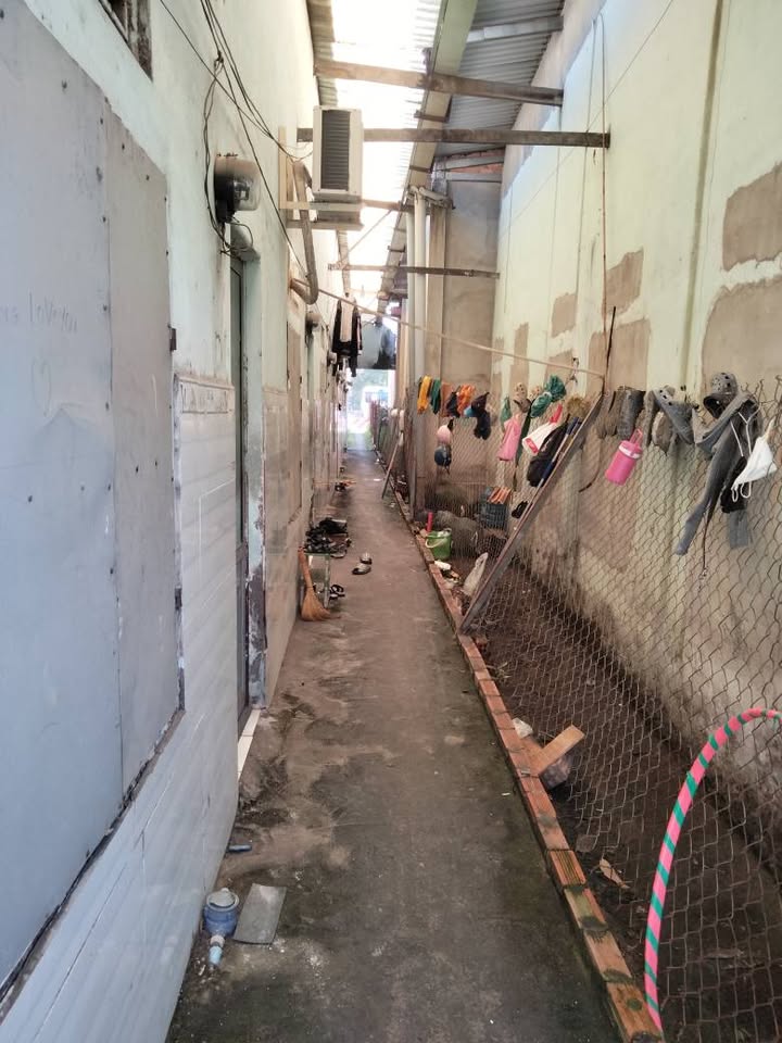 Đất nền mặt tiền Quốc lộ 51, Mỹ Xuân, Phú Mỹ, 250m² - Cơ hội đầu tư sinh lời!