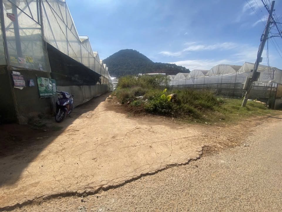 Đất Thái Phiên Đà Lạt 68,6m² giá 520 triệu - Cơ hội đầu tư tuyệt vời!