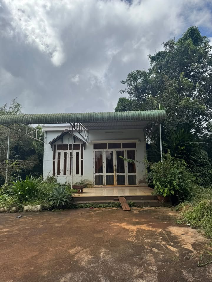 Đất nền 1 sào An Lạc Buôn Hồ 2.9 tỷ - Pháp lý rõ ràng, tiềm năng lớn!