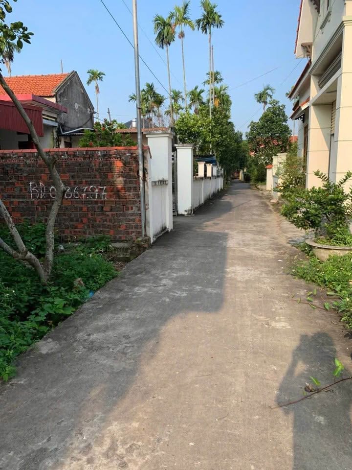 Lô đất đẹp tại Thôn 4 Mỹ Đồng, Thủy Nguyên 78m² giá 1.1 tỷ - Sẵn sàng chờ chủ mới!