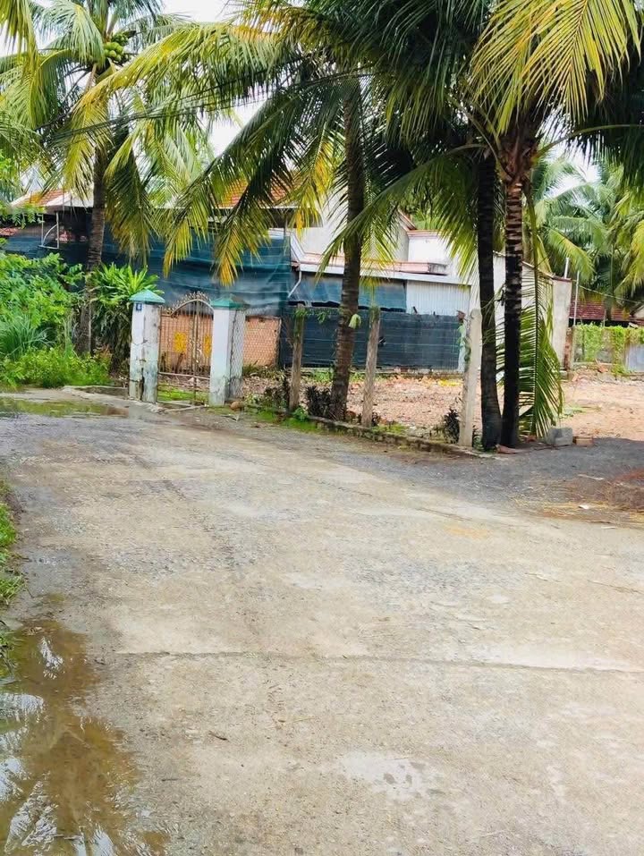 Đất nền mặt tiền Gò Đại, xã Diên Điền 93m² chỉ 1.2 tỷ - Cơ hội đầu tư hấp dẫn!