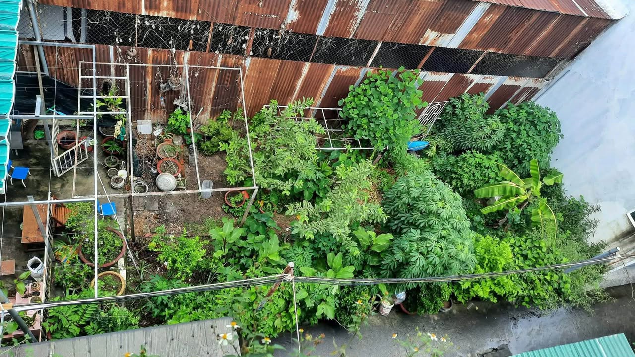 Đất nền Vĩnh Hải Nha Trang 87m² giá 5.655 tỷ - Lô góc 2 mặt tiền gần biển!