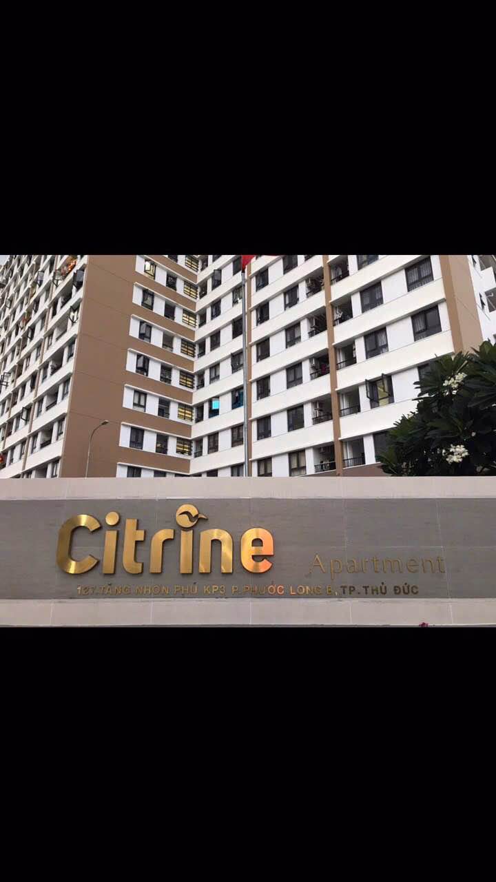 Căn hộ 2 phòng ngủ Chung cư Citrine Quận 9 giá 8 triệu - Nội thất đầy đủ, vào ở ngay!