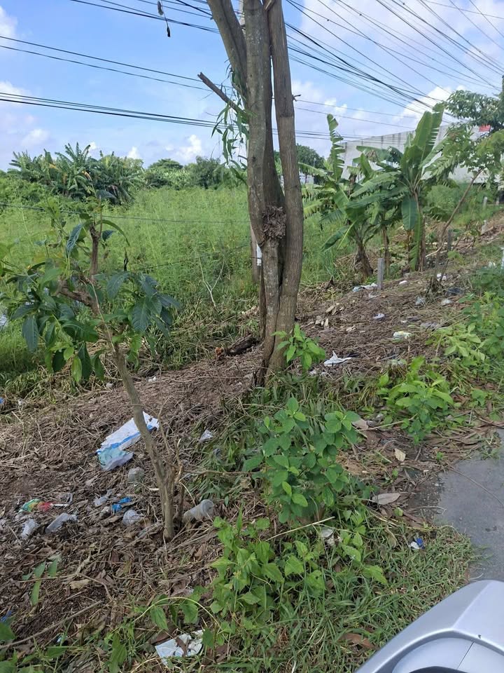 Đất mặt tiền tỉnh lộ 946, xã Long Kiến, 1759m² - Giá bán thương lượng hấp dẫn!