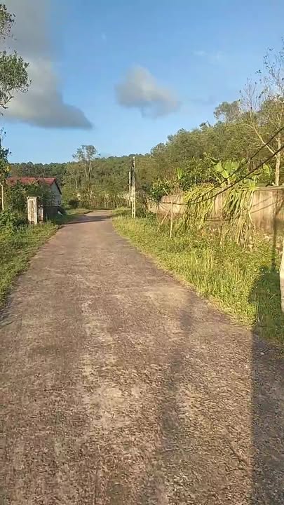 Lô đất chính chủ xã Nam Nghĩa, 320.6m² giá chỉ 8xx triệu - Đầu tư sinh lời ngay!