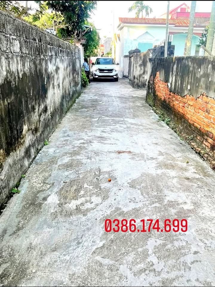 Đất nền Cấp Tiến - Tiên Lãng 100m² giá chỉ 800 triệu - Đầu tư sinh lời ngay!