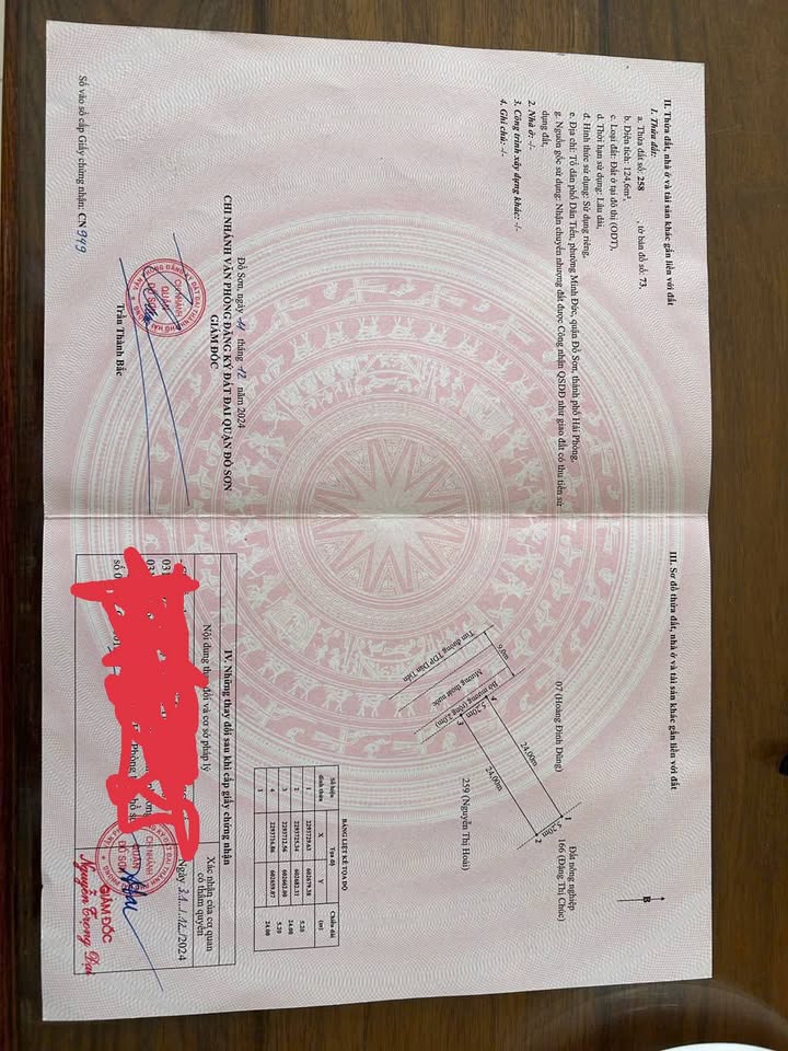 Lô đất đẹp 124m² tại khu phố Dân Tiến, phường Nam Đồ Sơn - Sổ đỏ chính chủ, đầu tư sinh lời!