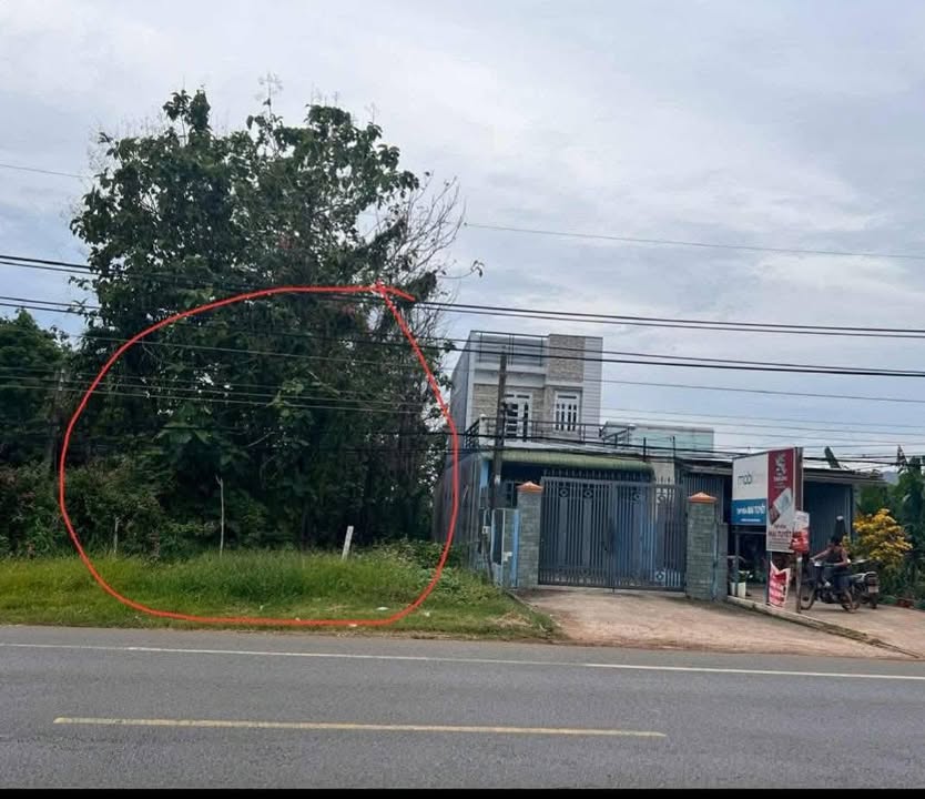 Đất mặt tiền Quốc lộ 20 Định Quán 600m² giá 4.2 tỷ - Thích hợp kinh doanh