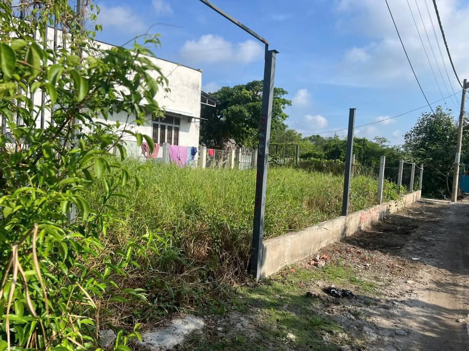 Đất vườn Đa Phước, Bình Chánh 220m² giá 1.15 tỷ - Vị trí đẹp, xe ô tô vào tận nơi!